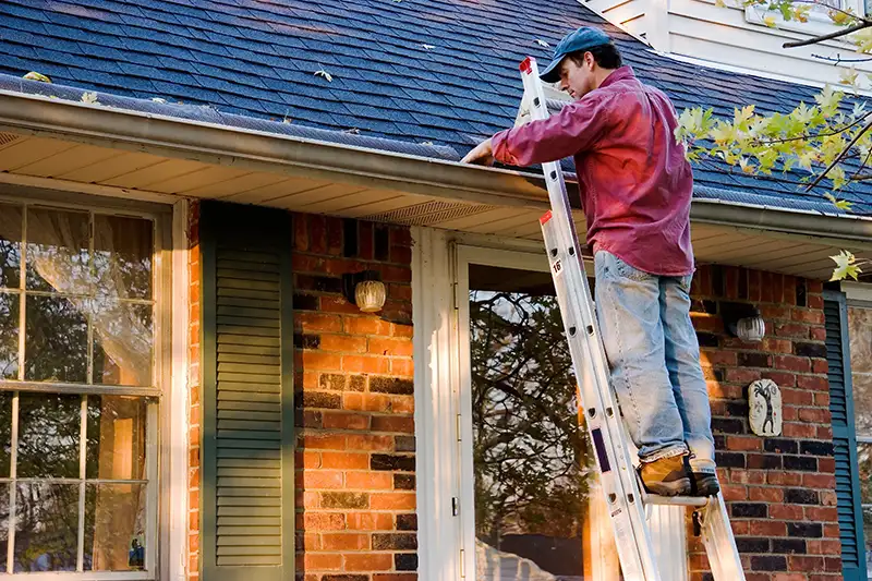 Protect Your Home with Professional Gutter Services by Panda Contractors