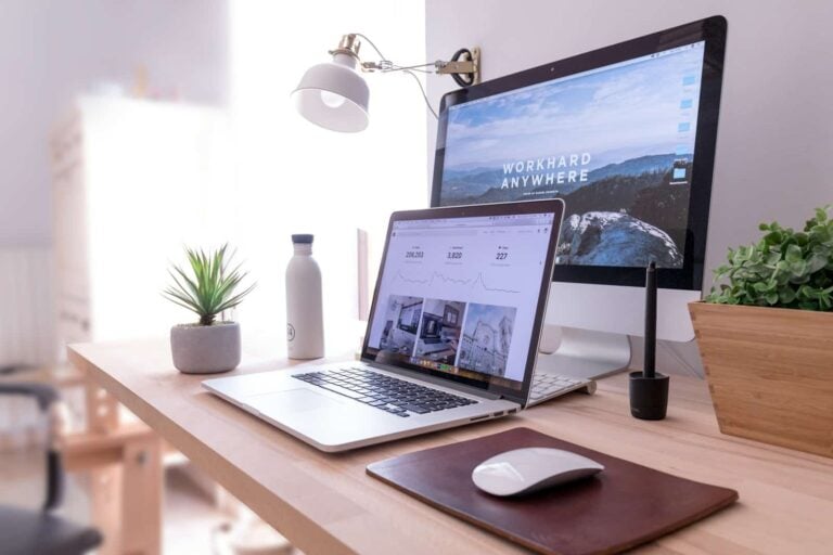 Dératisation : le guide de référence absolu, entre expertise terrain et visibilité digitale